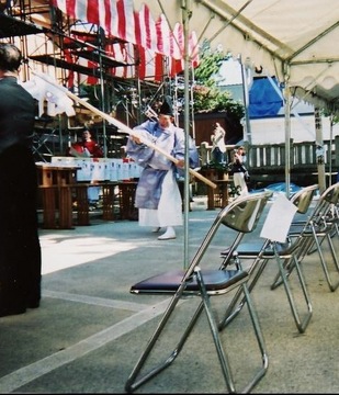 HayabusaIMG_00072009.jpg
