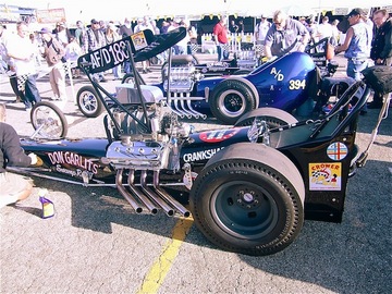 dongarlits.JPG