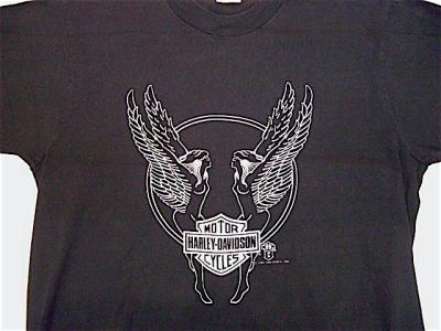 web1CIMG0086_small.JPG